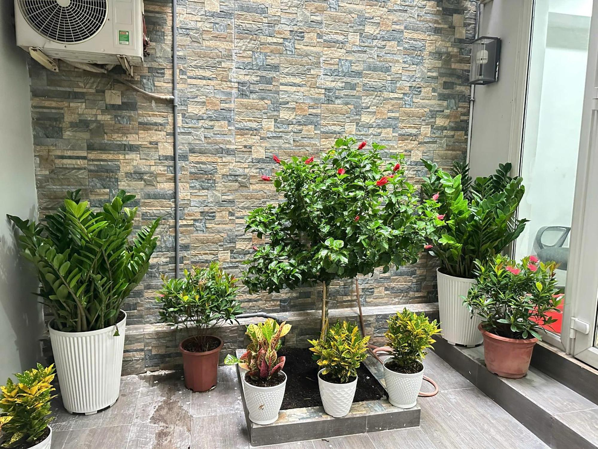 Diamond Crown 2 TP. Hồ Chí Minh